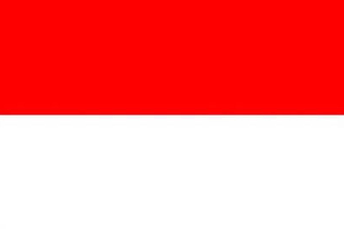 Indonesia Flag